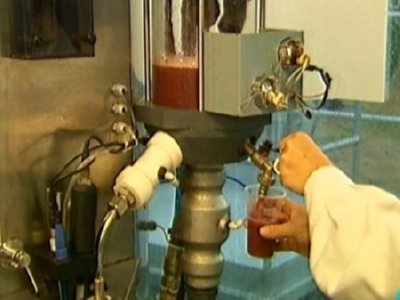 LABORATORIO VINO  LEADOR BOSQUE